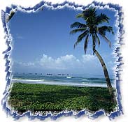 Beach - Goa