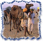 People - Rajasthan
