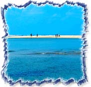 Rameshwaram Beach