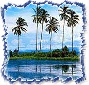 Coconuts & Beaches - Cochin