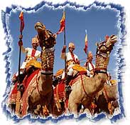 ceremonial camels at Jaisalmer