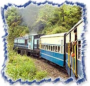 Famous Shimla Kalka Toy Train, Himachal Pradesh, India